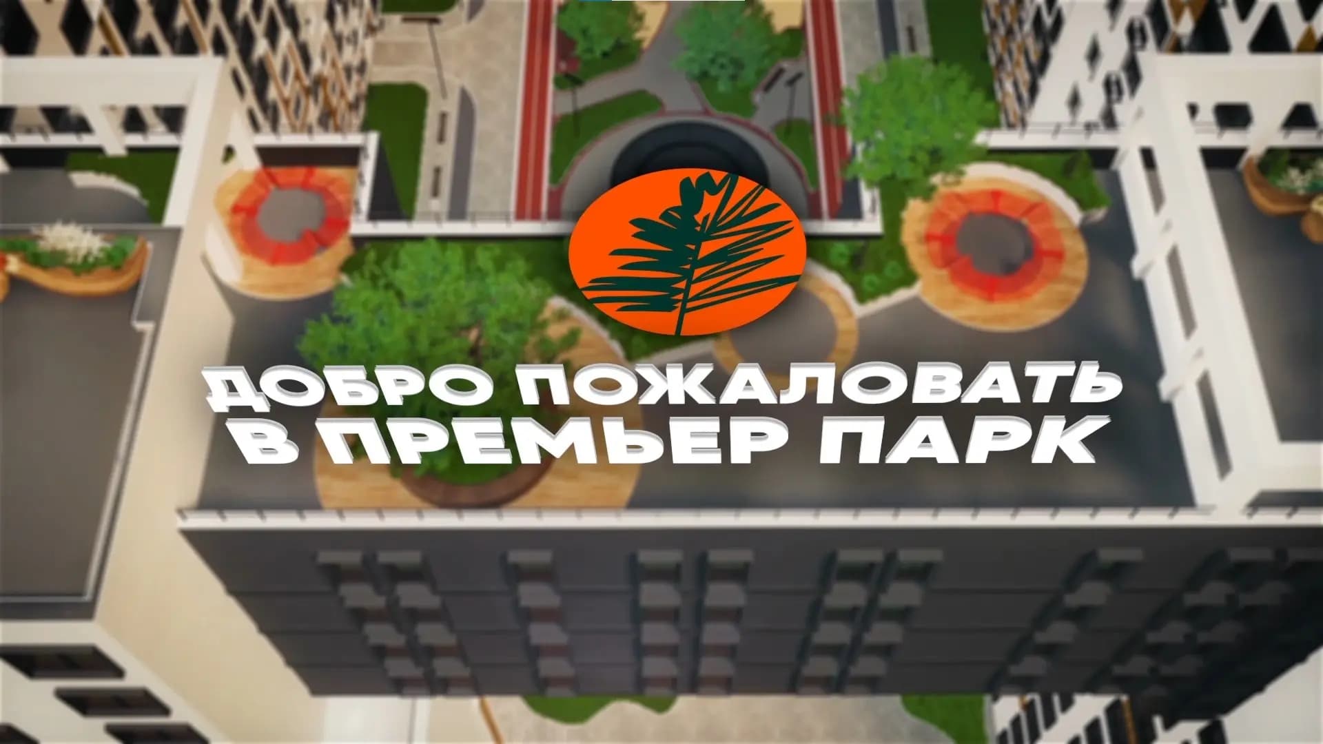 Превью